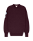 AMUNDSEN PEAK CREW NECK MENS